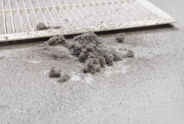 Best Affordable Duct Cleaning Services  in Fishhook, AK