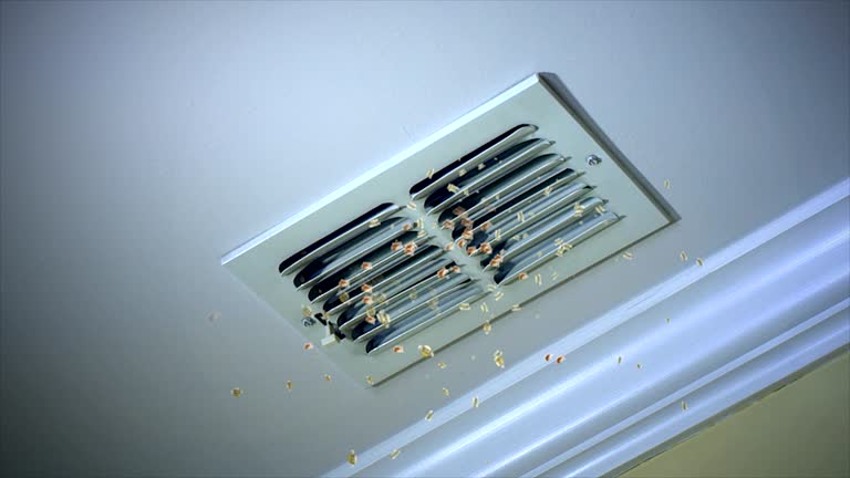 Affordable HVAC Duct Cleaning in Fishhook, AK