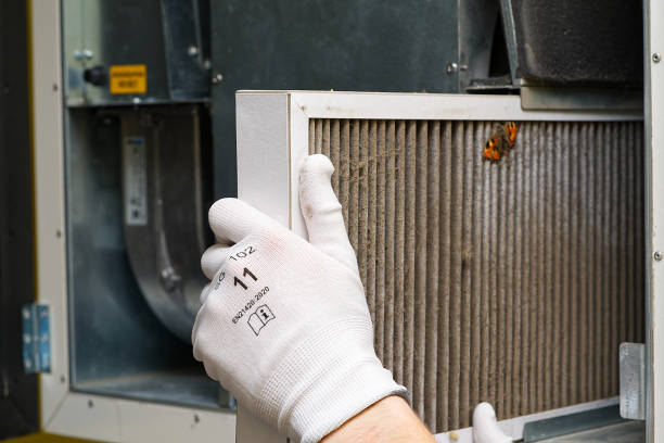 Best Home Air Vent Cleaning  in Fishhook, AK