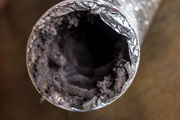 Best Emergency Air Duct Cleaning  in Fishhook, AK