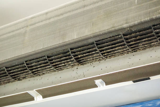 Best Ventilation Cleaning Services  in Fishhook, AK