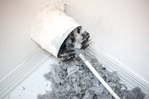 Best Affordable Duct Cleaning Services  in Fishhook, AK